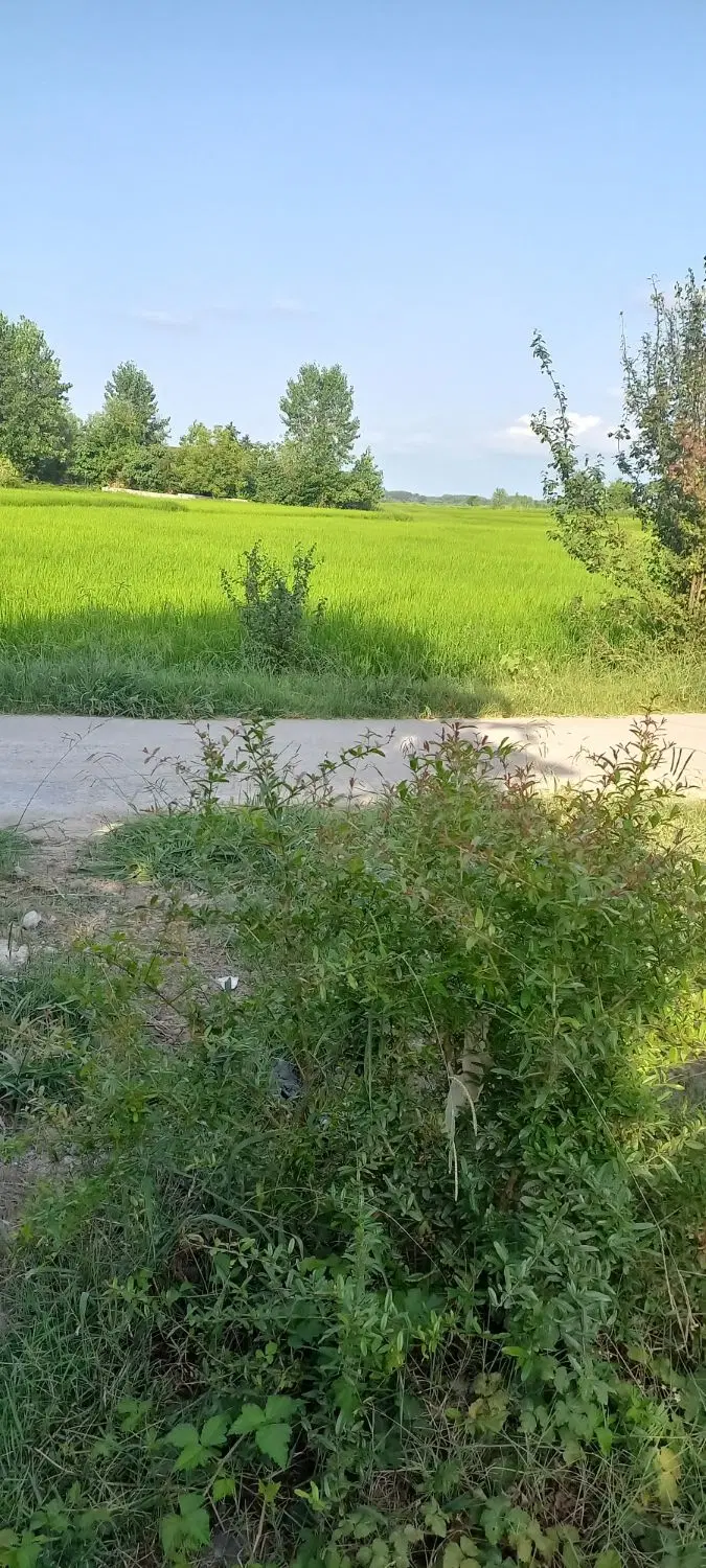 زمین مسکونی با پروانه ساخت