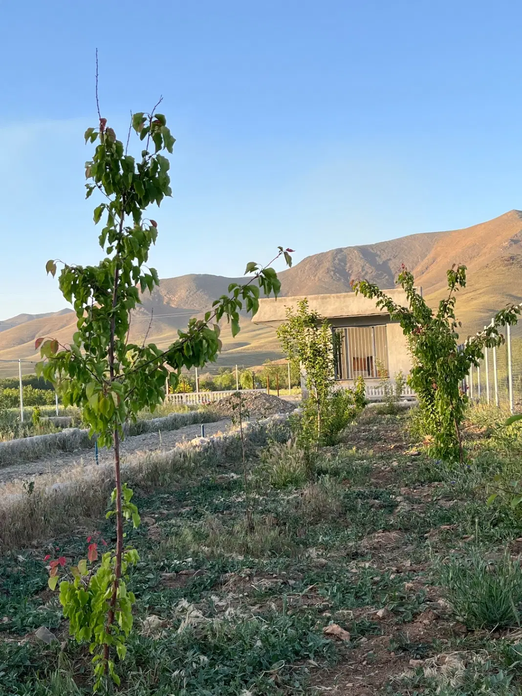 فروش باغچه هزار متری
