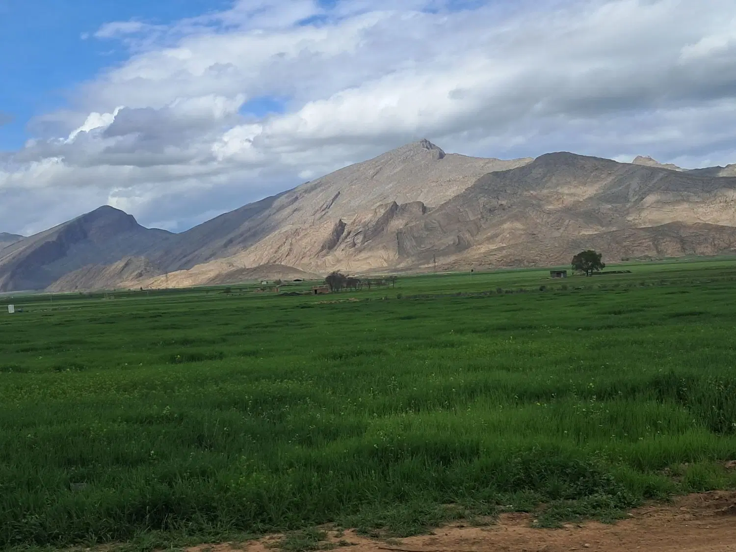 زمین مسکونی روستای دودج داریون