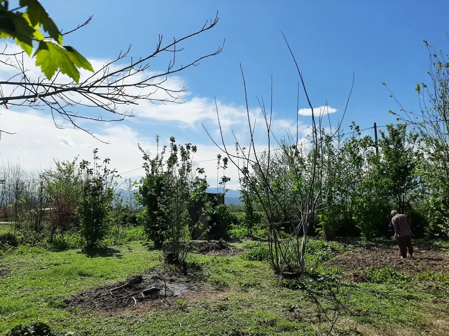 زمین ب متراژ ۴۲۰متر با کاربری مسکونی