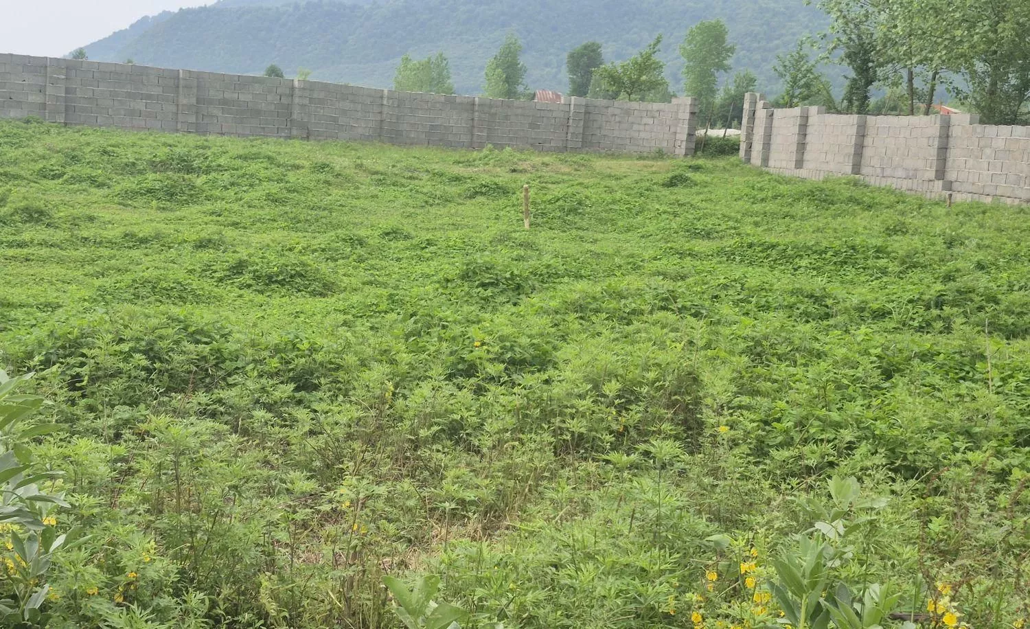 فروش اقساطی زمین مسکونی با سند تکبرگ