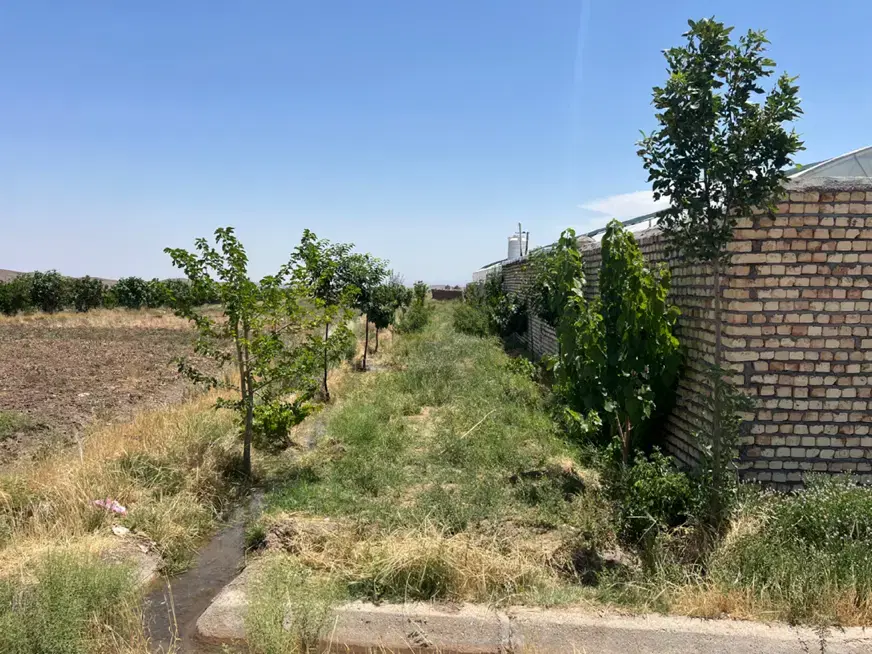 زمین با پروانه و بر جاده متراژ مختلف اقساط معاوضه