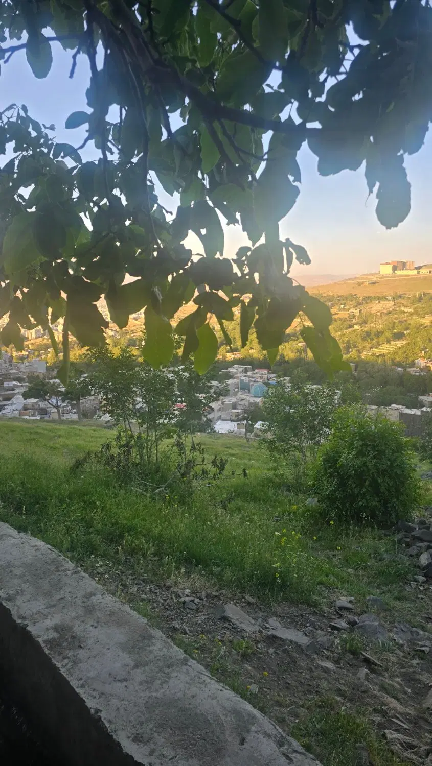 فروش زمین زراعی ،باغی ،مسکونی