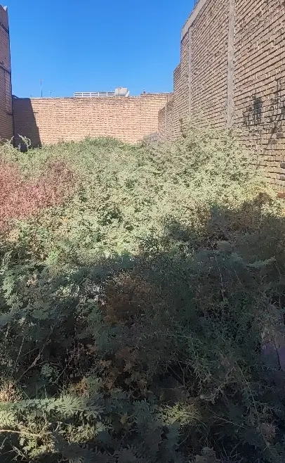 زمین مسکونی شهرامام