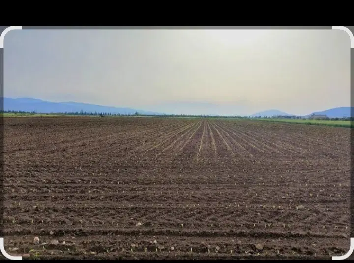 زمین کشاورزی در قلعه میرفتاح