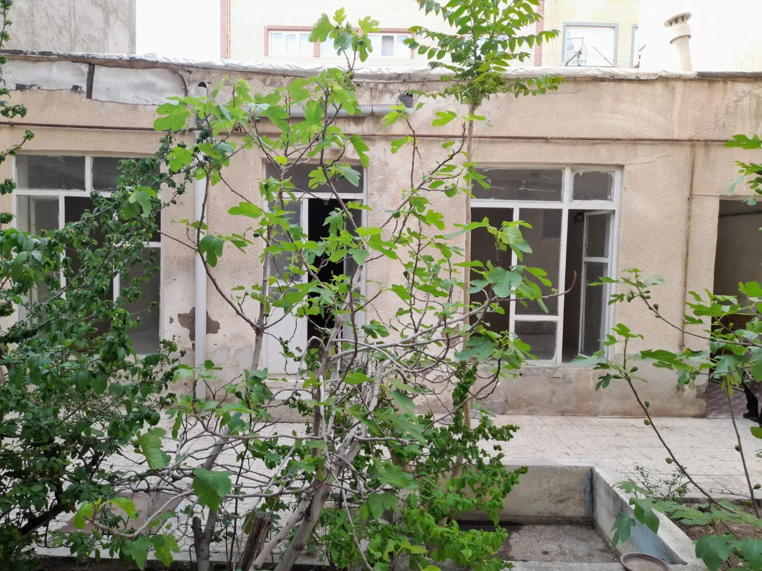فروش حیاط کلنگی