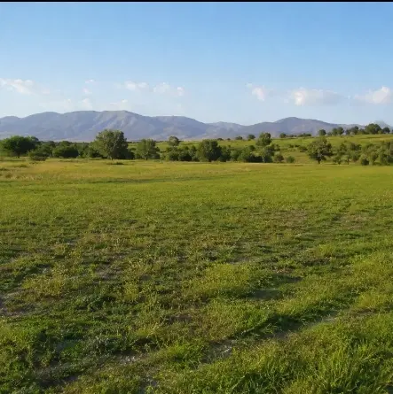 زمین فروشی