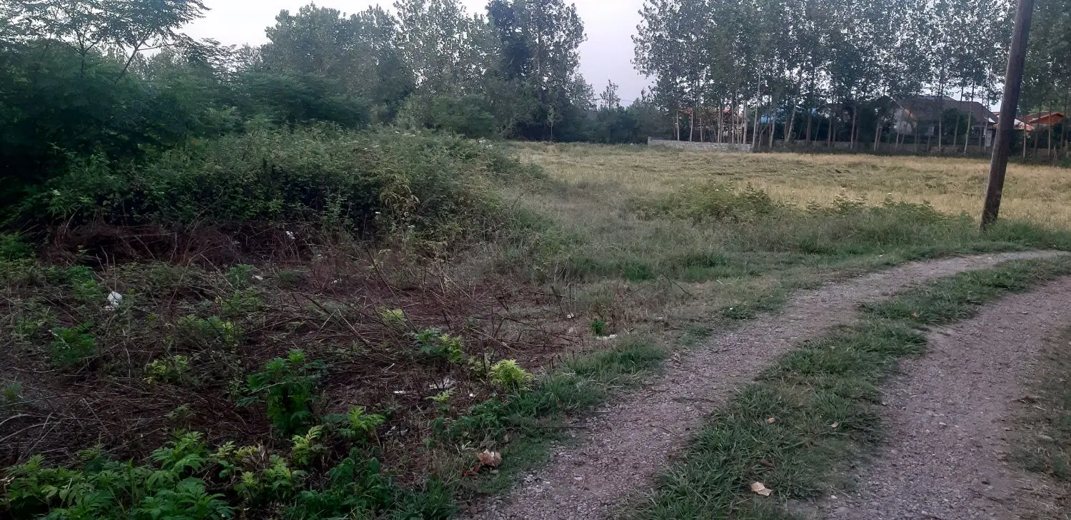 ۲۵۰ متر زمین مسکونیکوچصفهان نویده