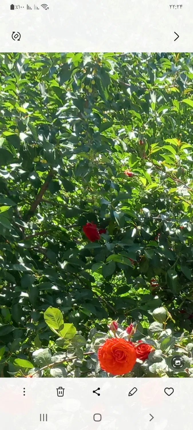 زمین‌کشاورزی