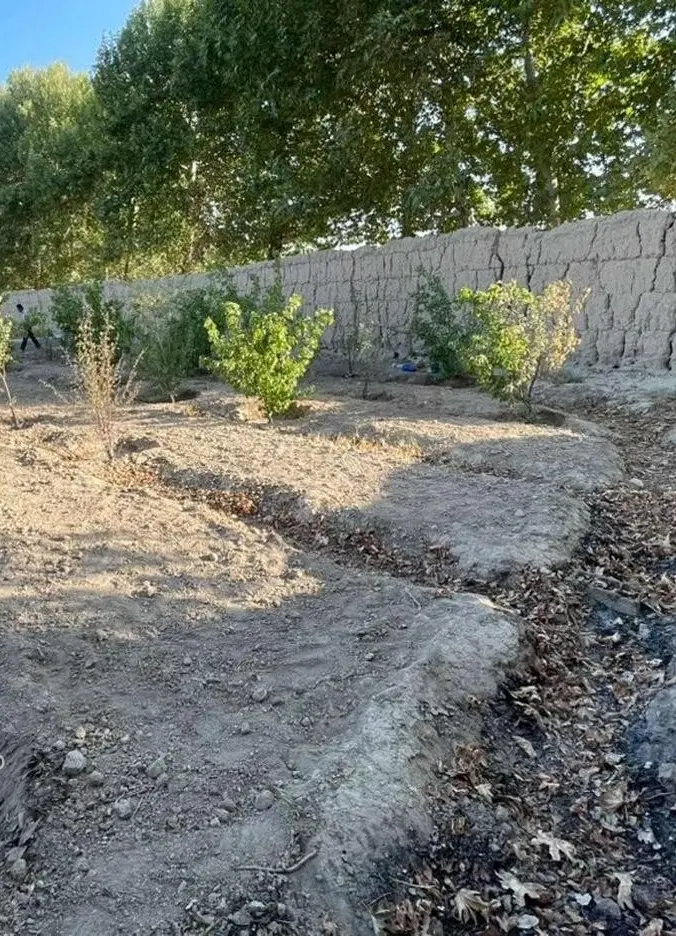 زمین زراعی باغی