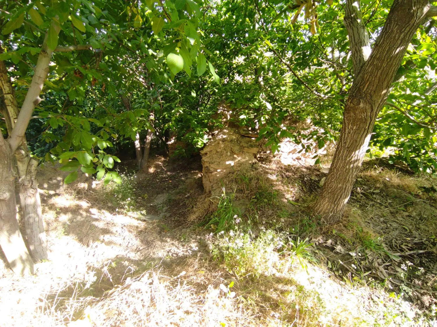 باغ نقلی
