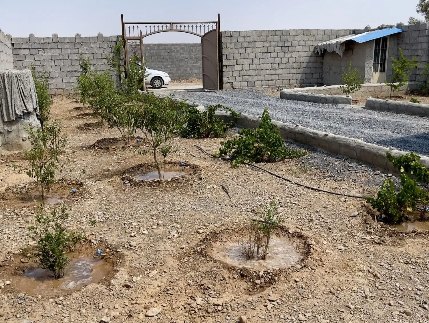 فروش باغ  خوش جا در علی آباد