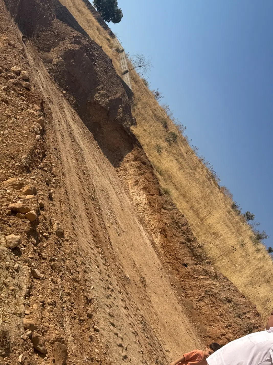 زنین طرح معلم