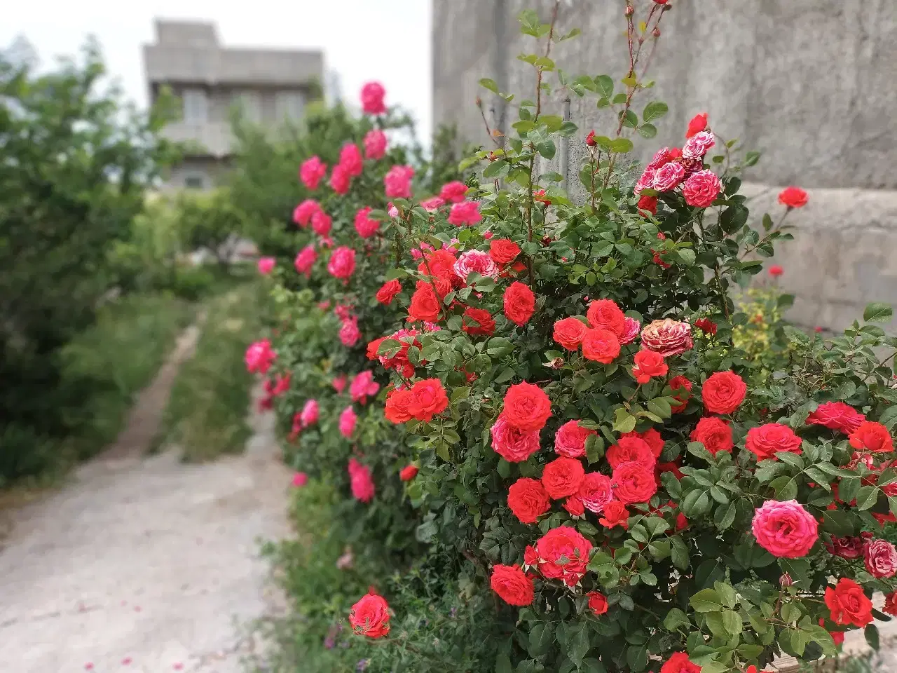 ویلادربستی دوطبقه