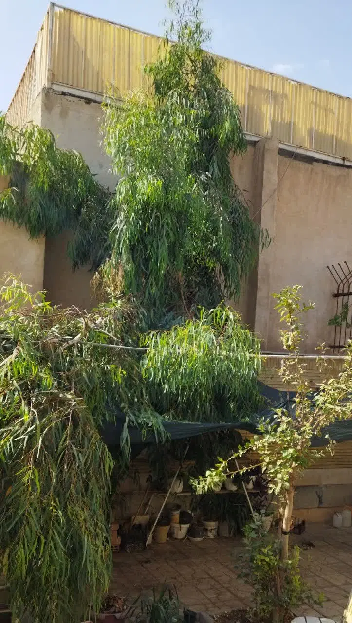 180متر ویلایی و زیر زمین ملکشهر سند تک برگ