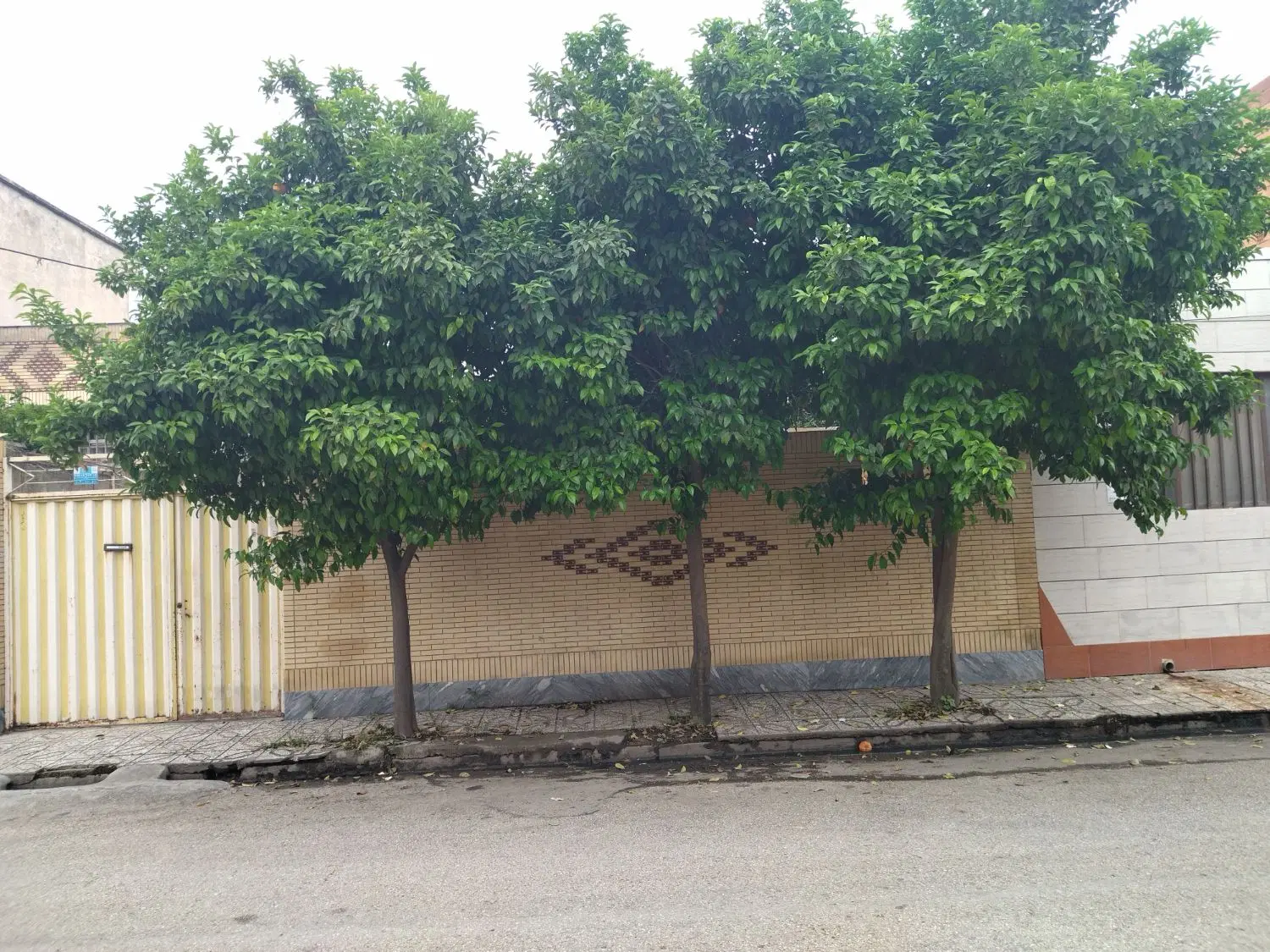 ویلای 62 متری