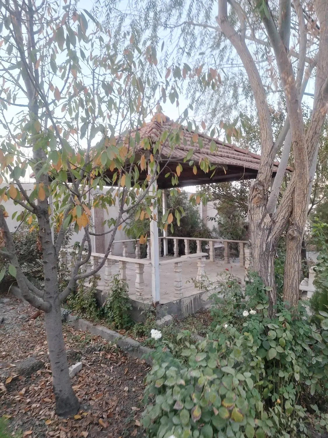 باغ ویلا سند 6 دانگ