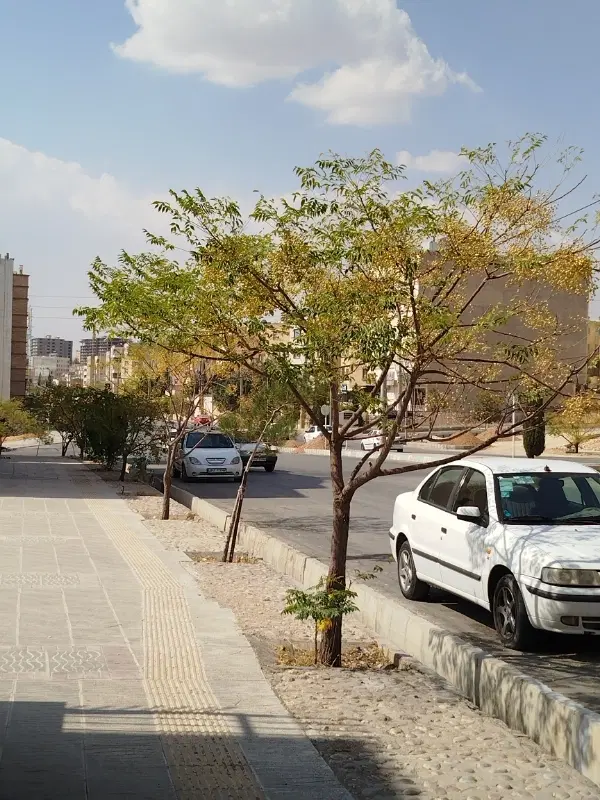 فروش یا تهاتر تجاری ملکی فاز یک