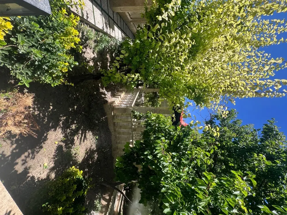 اجاره روزانه . هفتگی . ماهیانه باغ ویلا