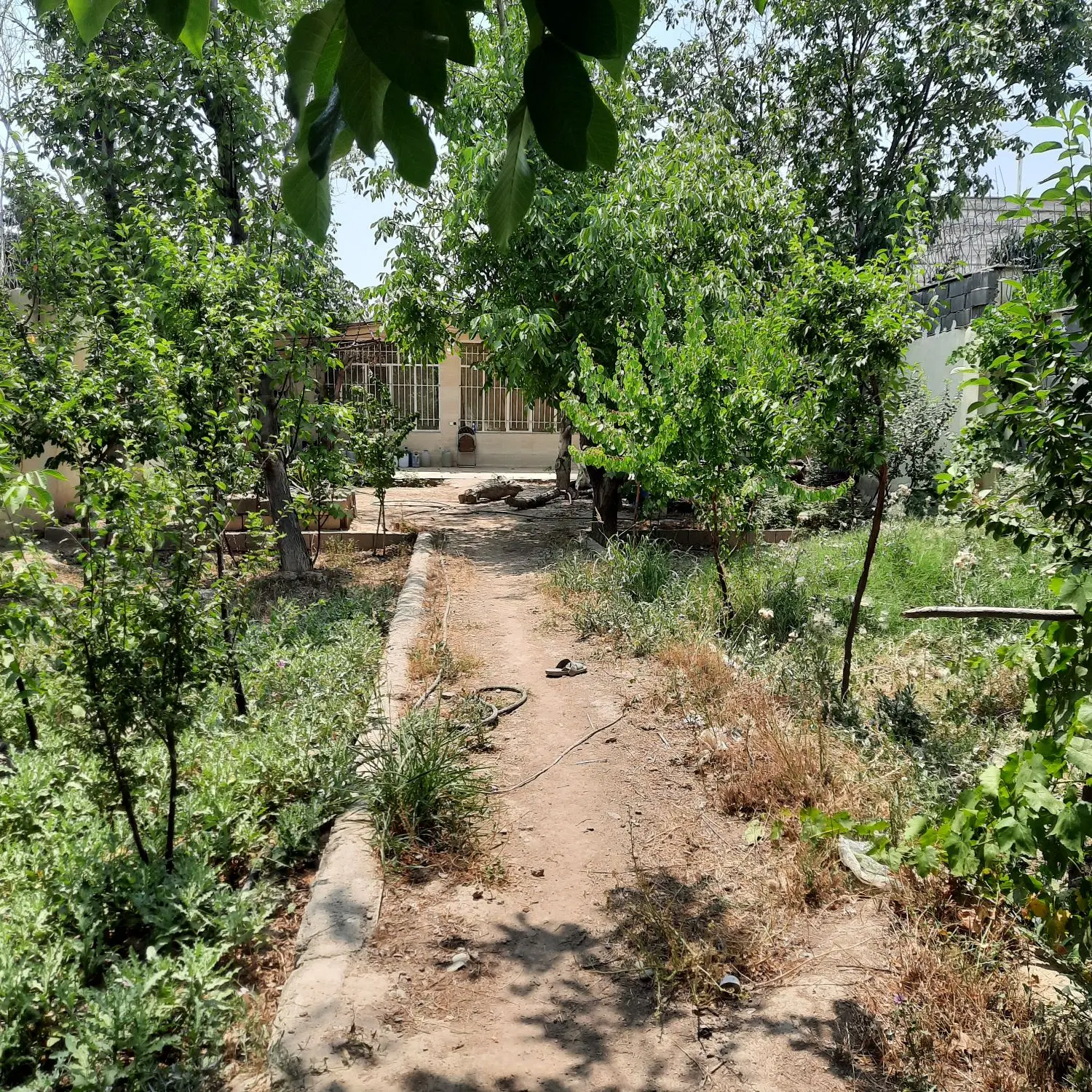 باغ فروشی فوری