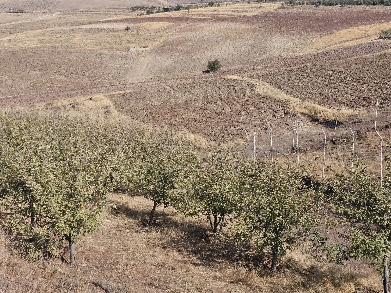 زمین کشاورزی ۱۷۰۰ متر