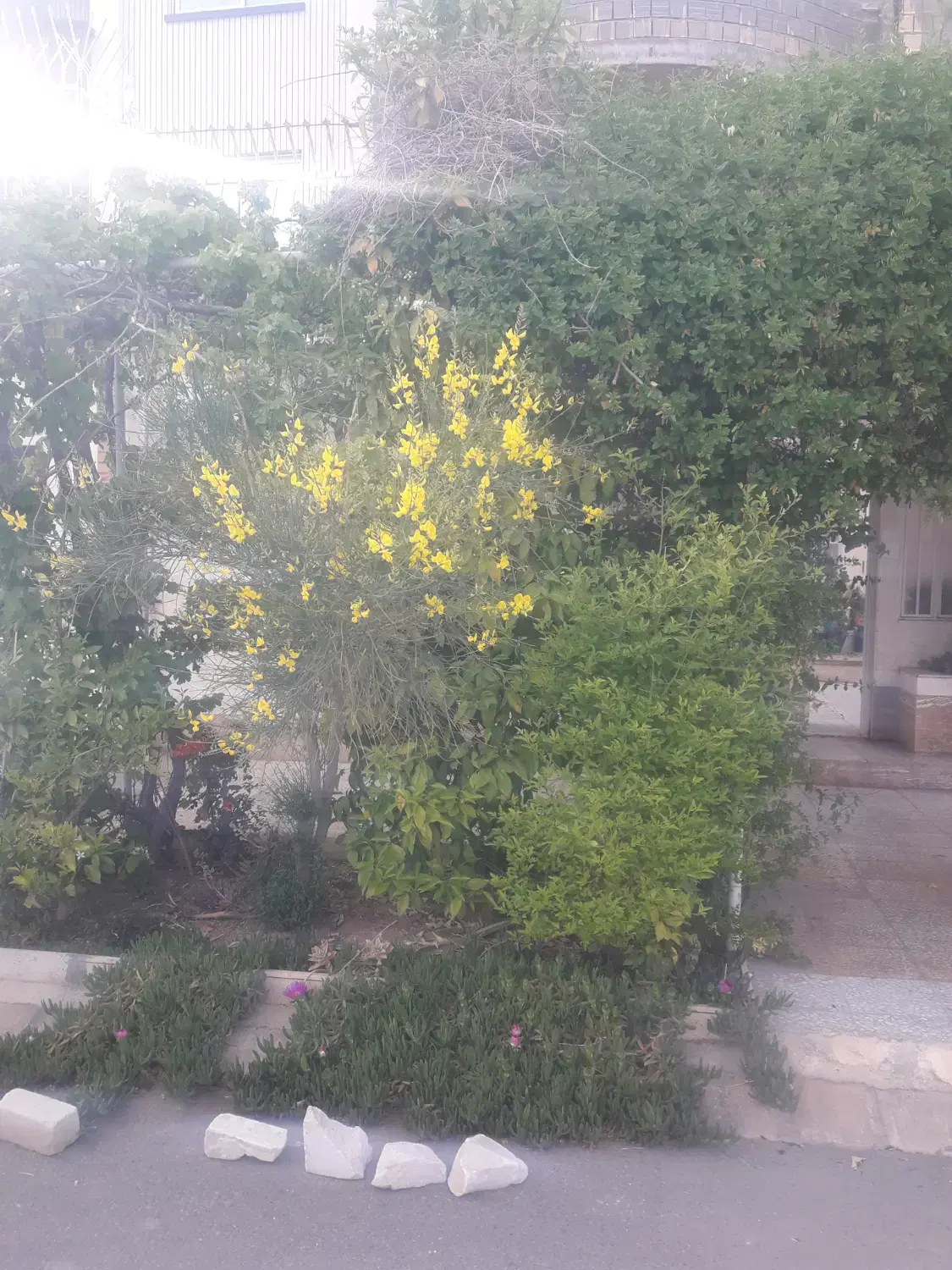 فروش منزل مسکونی و یا معاوضه با منزل در نجف آباد