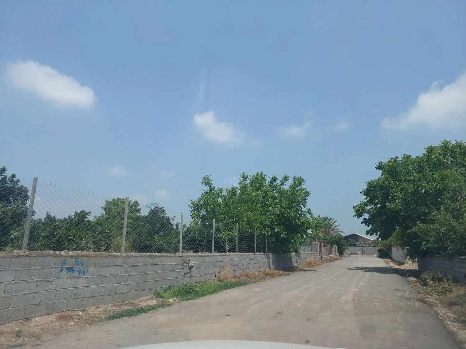 زمین داخل بافت.محور ساری به لاریم.روستای گلیرد