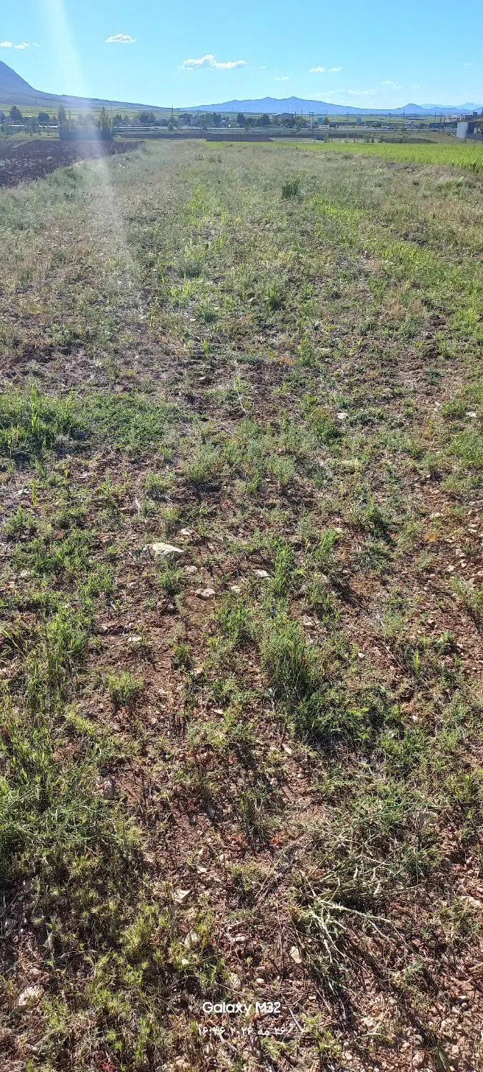 زمین زراعی نزدیک به شهر