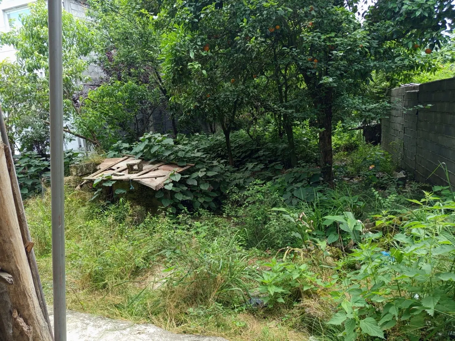 فروش خانه کلنگی