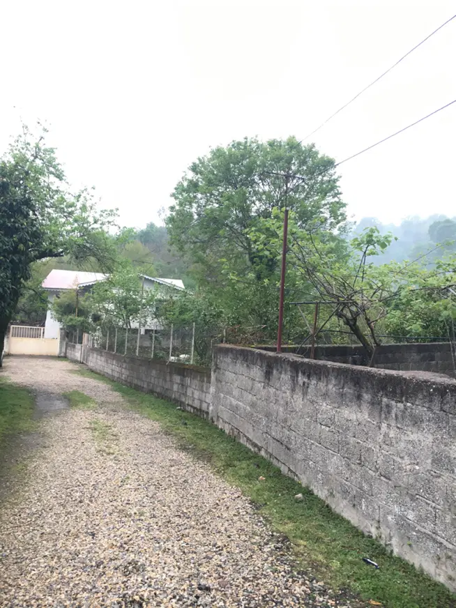 زمین مسکونی در دل روستای تالش