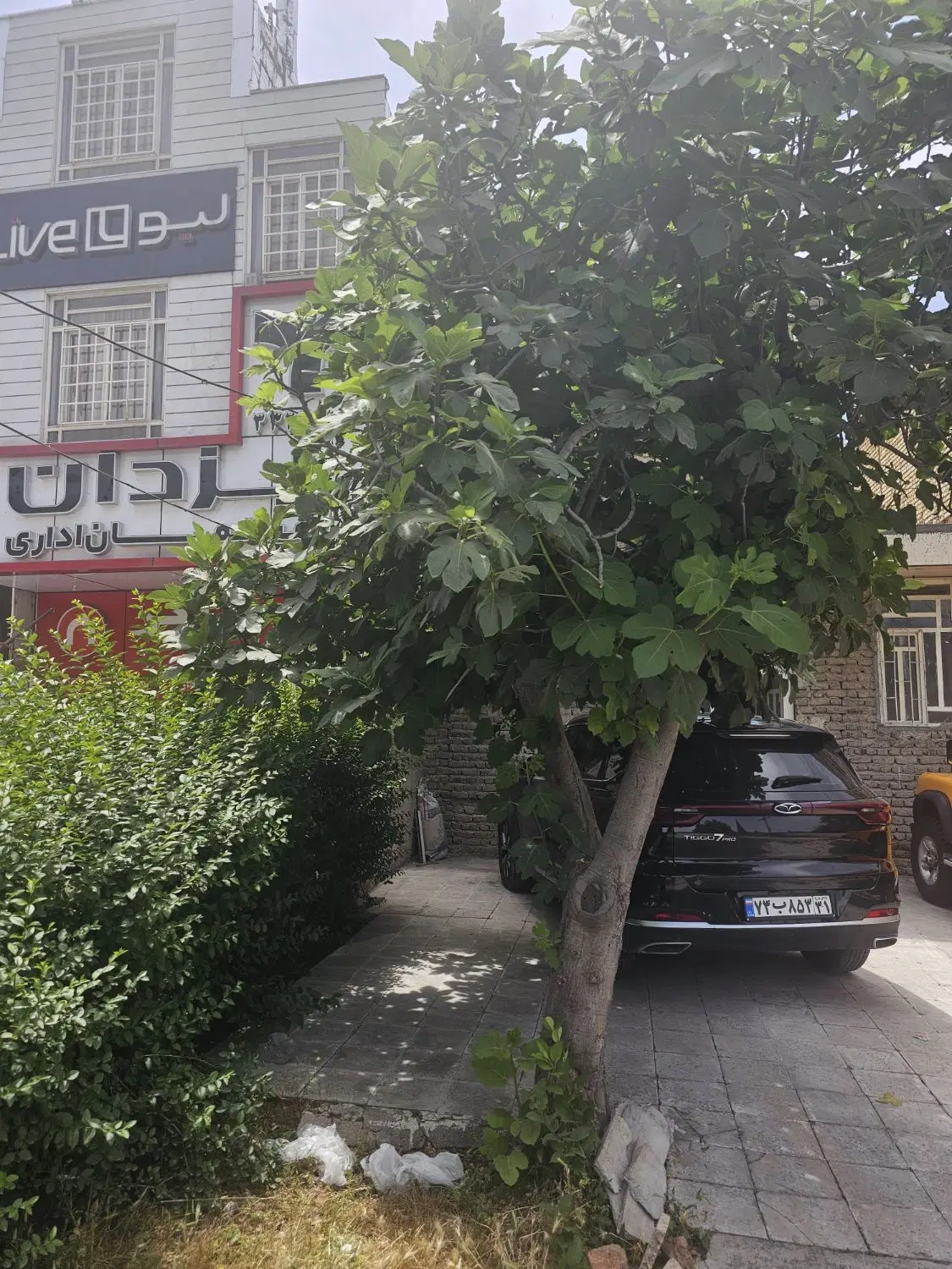 خانه ویلایی کلنگی