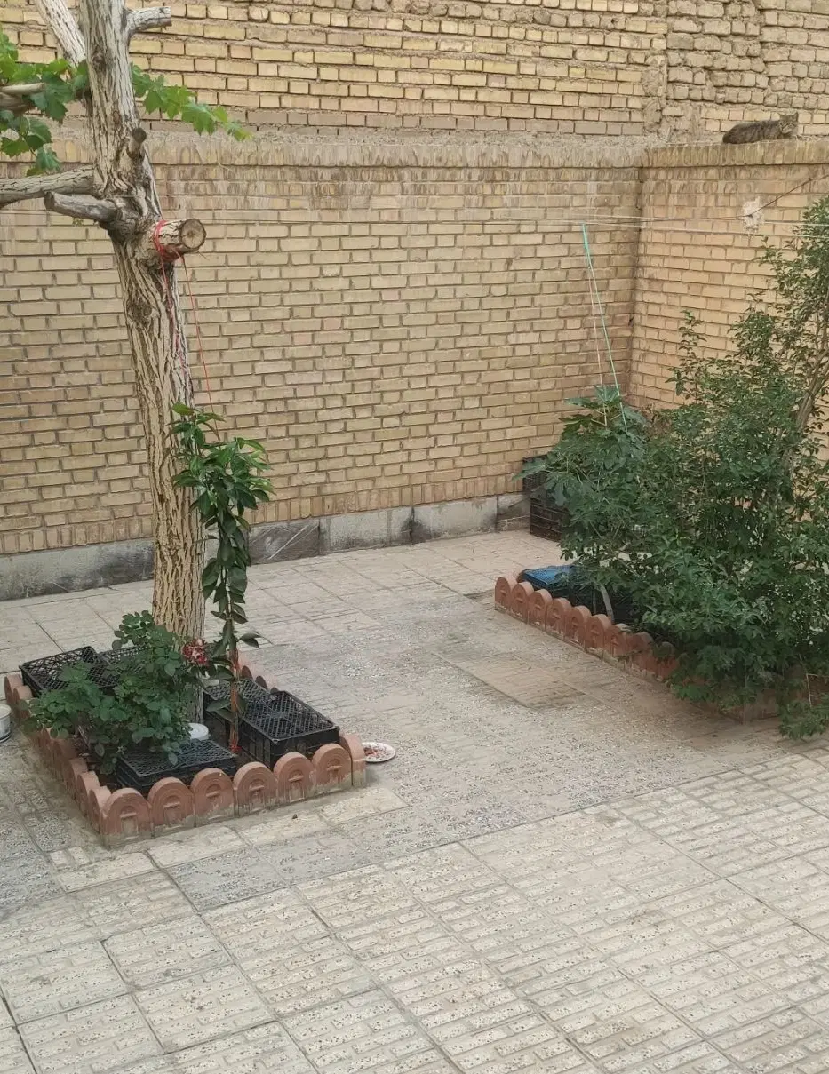 زمین مسکونی شمالی