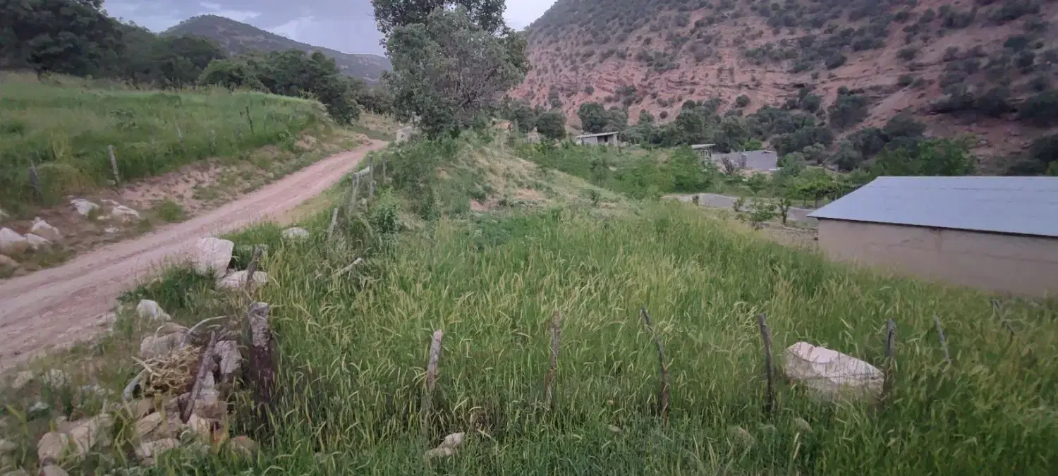 زمین در روستای پیوند قجر تخت جمشید