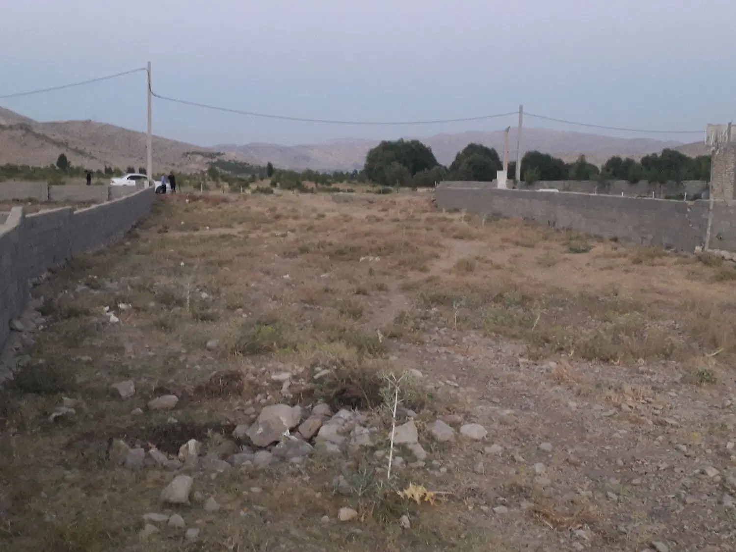زمین مسکونی