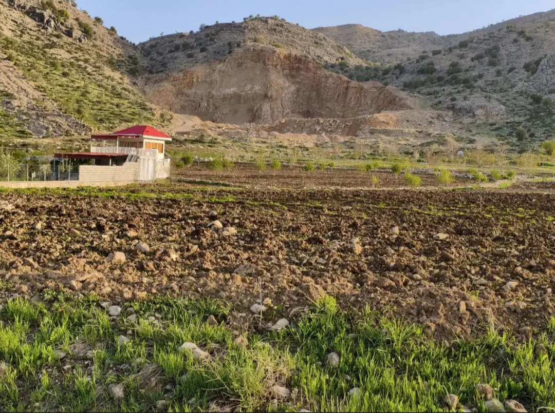 زمین دلیبجک