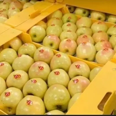 واگذاری میوه فروشی یا شراکت