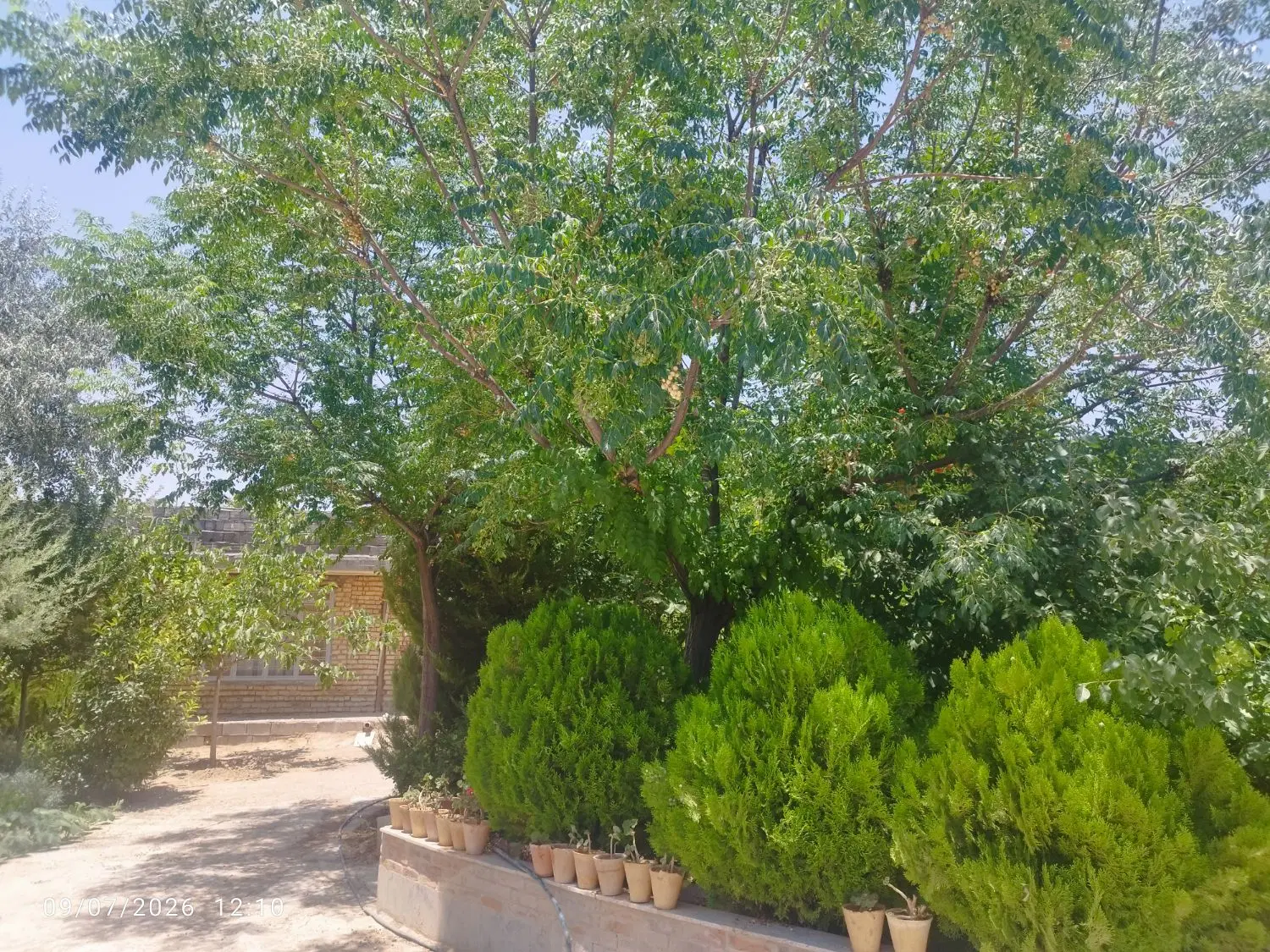 باغ ویلا 1000متری با270متر زیربنا