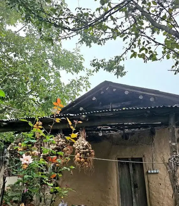 ویلا سنتی
