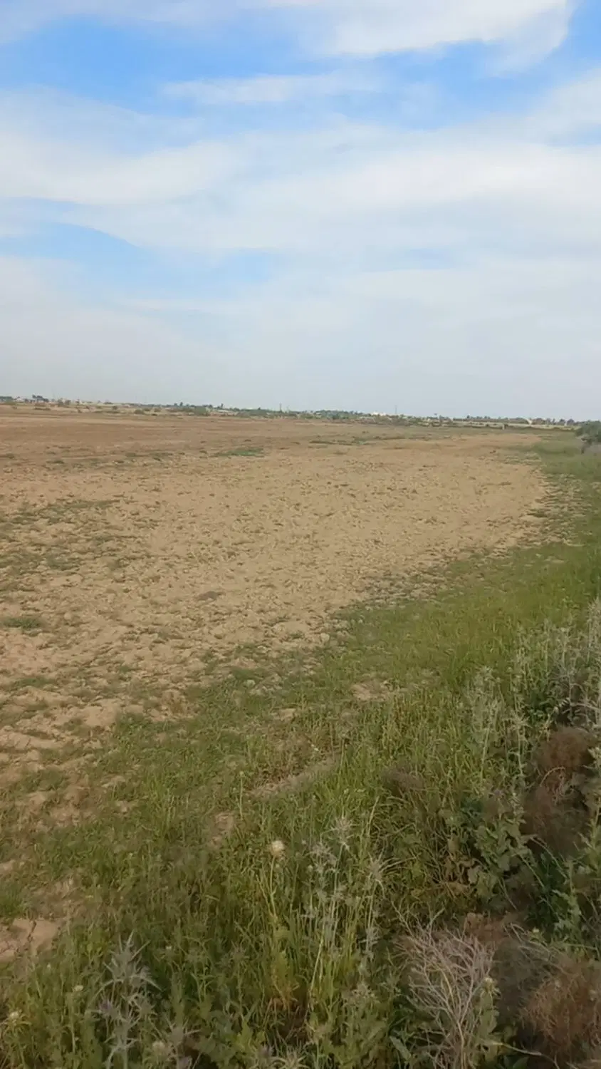زمین کشاورزی