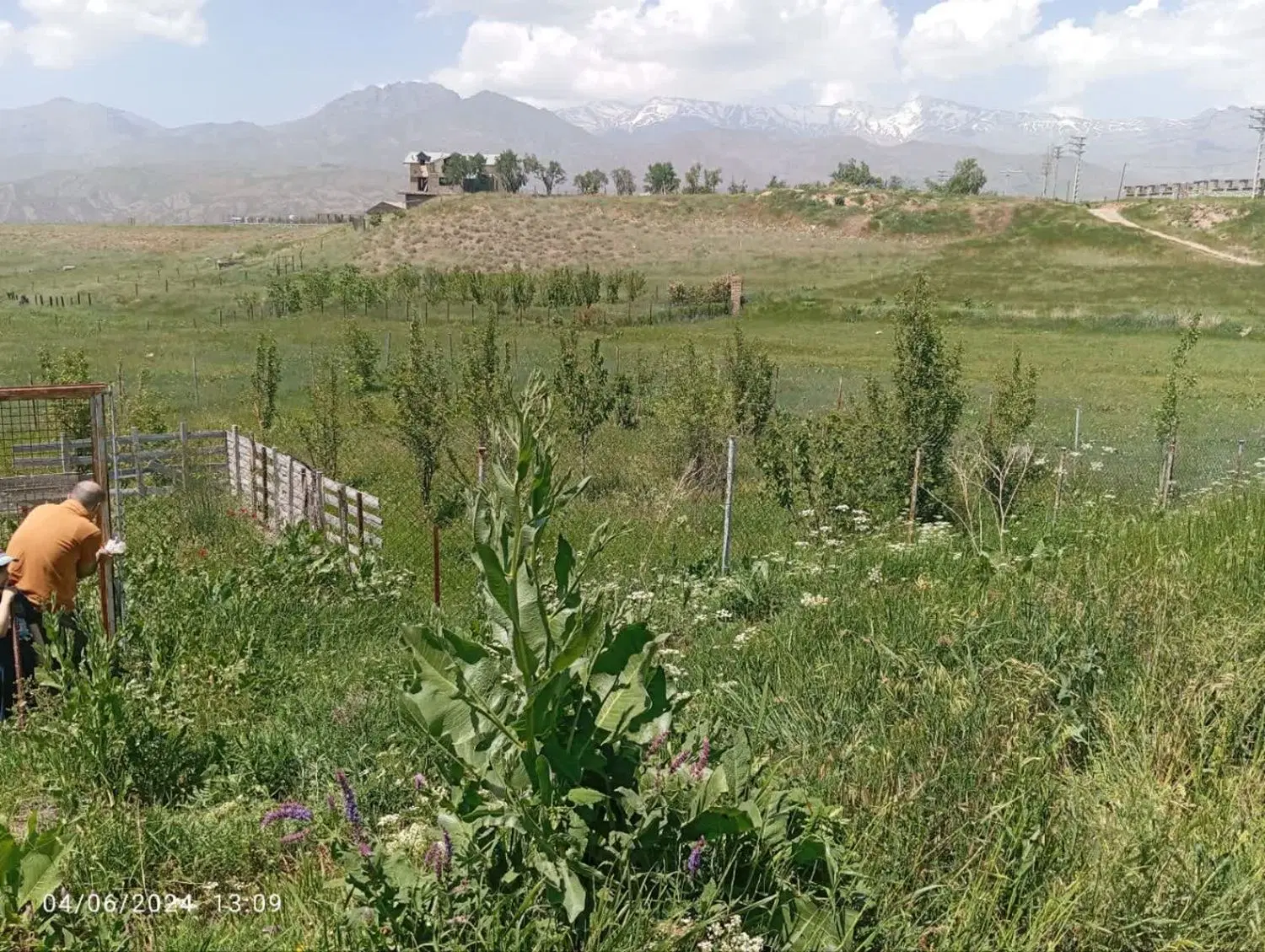 زمین کشاورزی