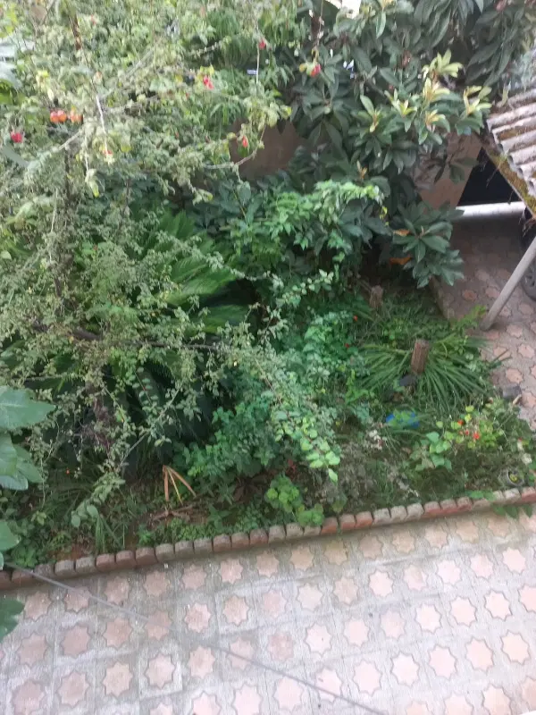 اجاره سالانه یک واحد سوئیت