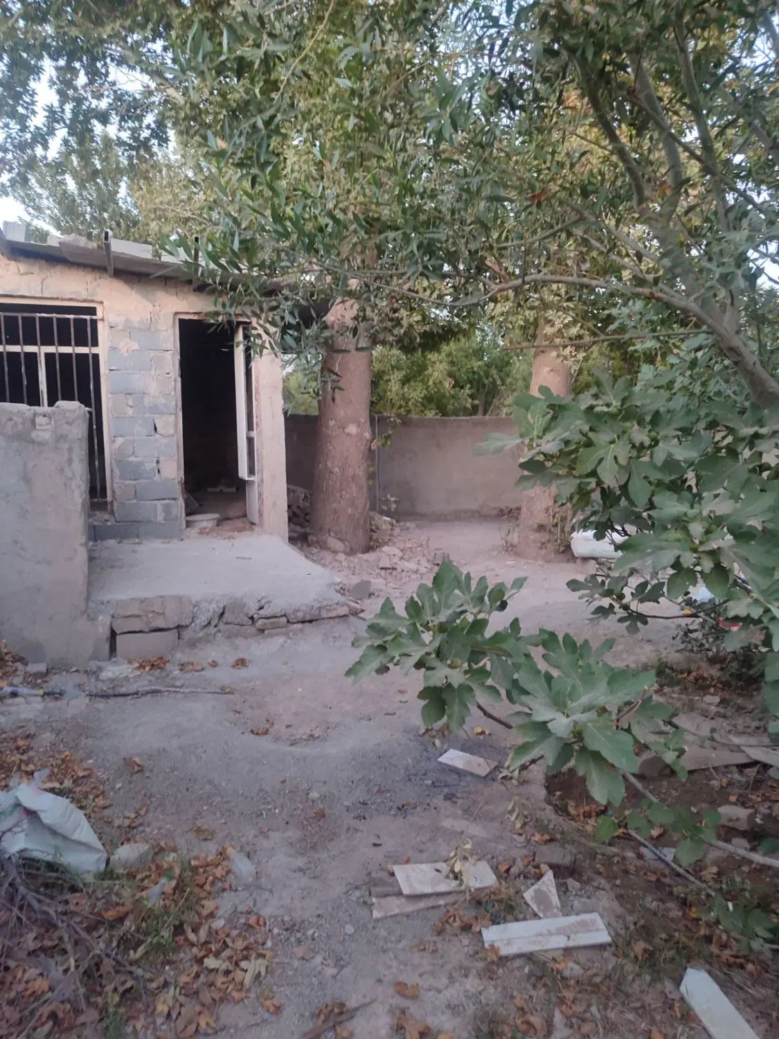 باغچه. ۶۰۰ متری چهار دیواری  اول بکه  موقعیت عالی