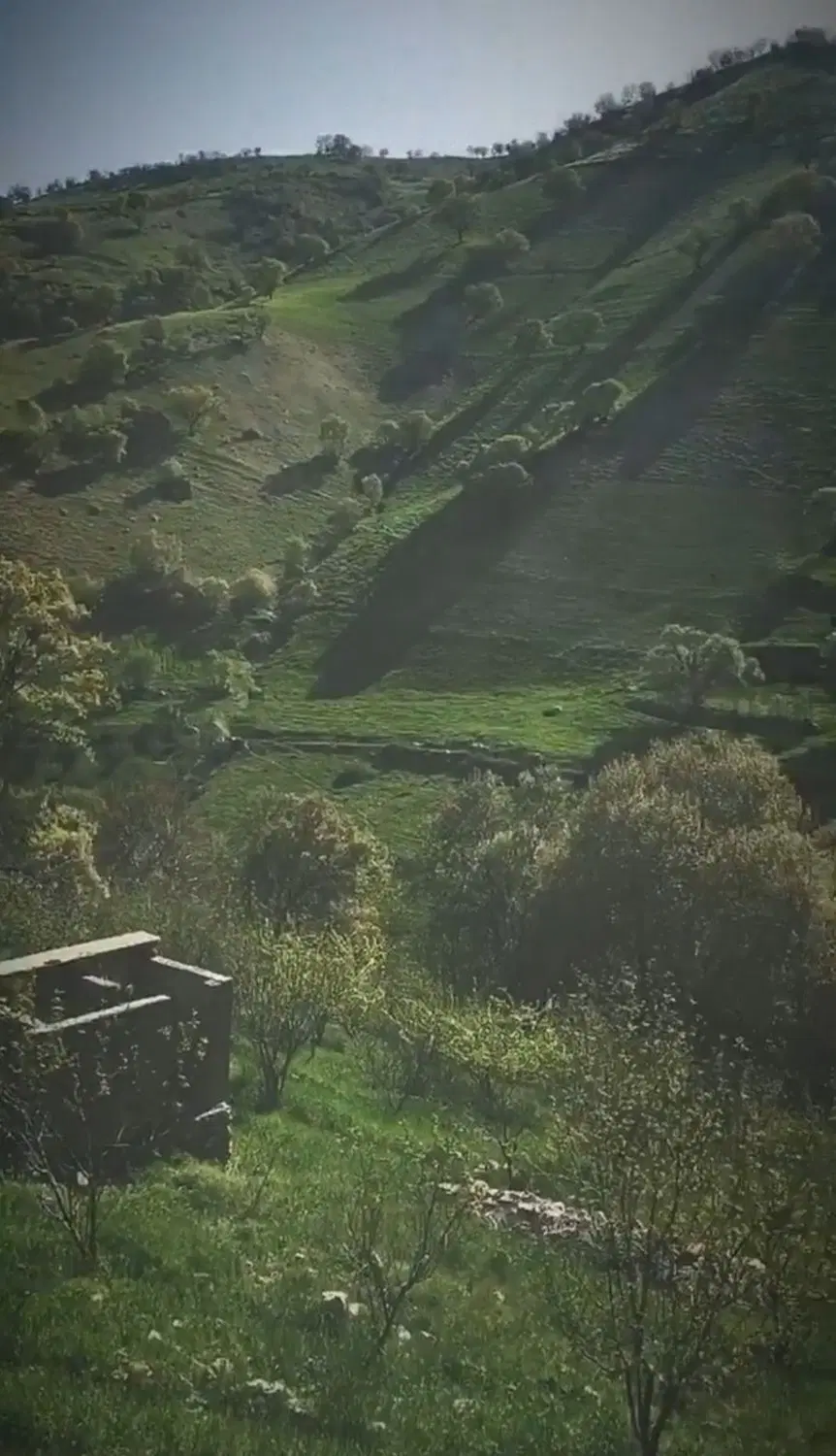 باغ ویلا دهنو یاسوج ۱۰۰۰ متر