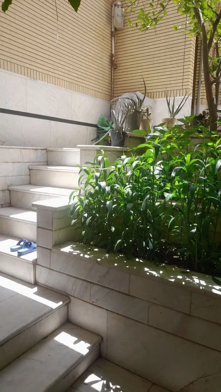 خونه اجاره تمیز