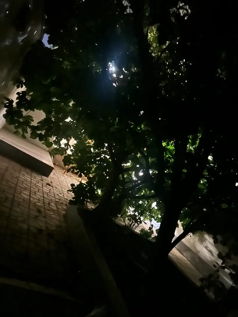 ۲واحد اپارتمان یکجا