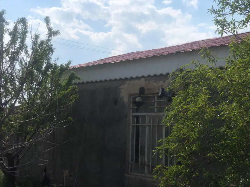 زمین ‌باغ