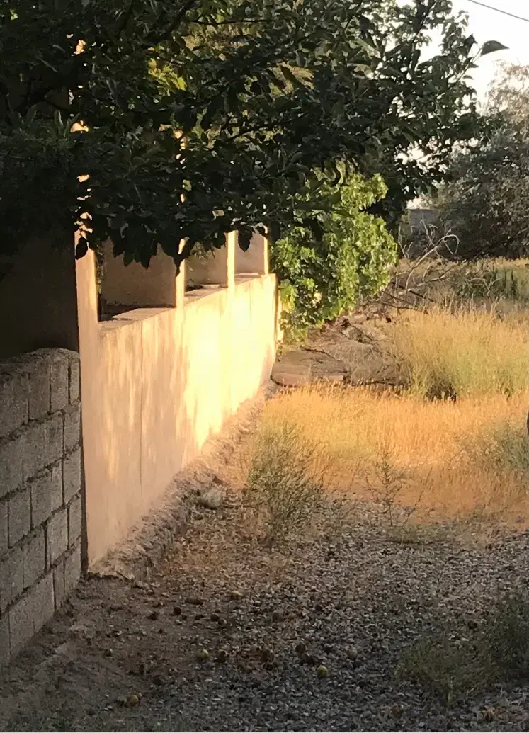 فروش ۷۰۰ متر زمین گلستان ایزدشهر