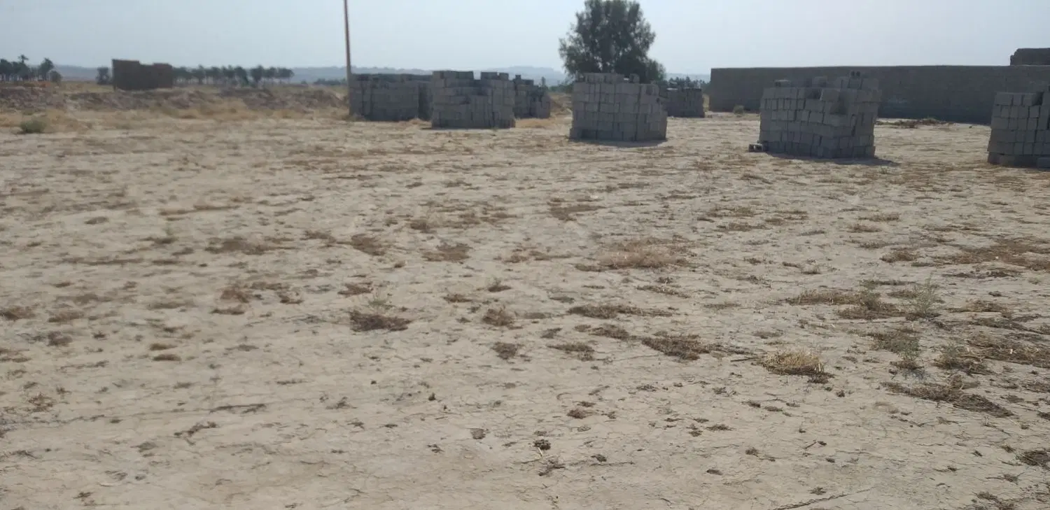 زمین بهمنیاری