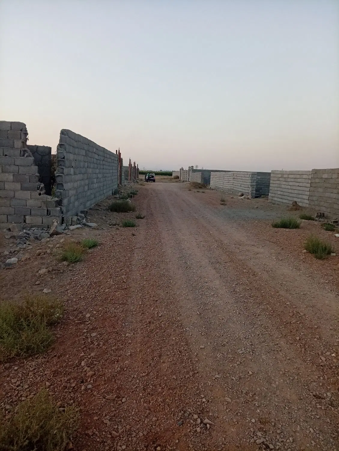 زمین کشاورزی باغی