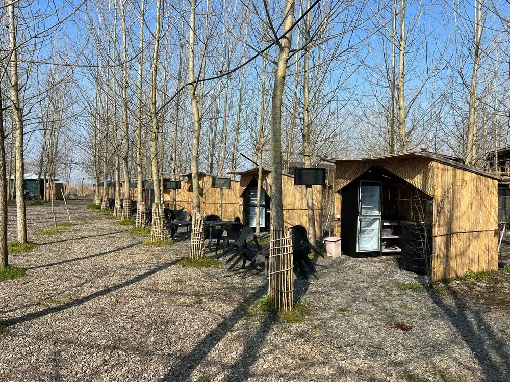 اون جایی که فکر هیچکس نمیرسه